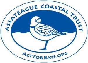 Assateague Coastal Trust pic